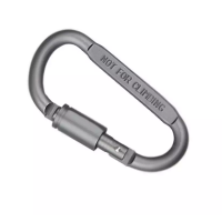 Карабин алюминевый NFC 80MM LOCKING GR / NFC21GR