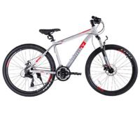 Велосипед TechTeam Sprint 26"х20" серый / TT