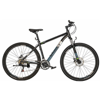 Велосипед TechTeam Sprint 29"х18" черный / TT