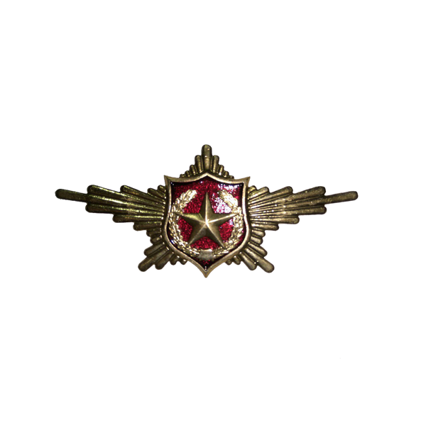 Знак "Рота Почётного Караула" Оригинал ВВС РФ / АК74