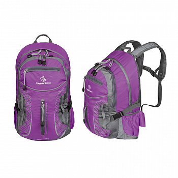 Рюкзак ELEGATORSPORTS 15 л., спорт (городской),усилен. спинка, цв. красн./сер. / 700487