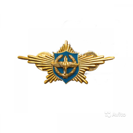 Знак "Дружинник СССР" Оригинал СССР / АК74